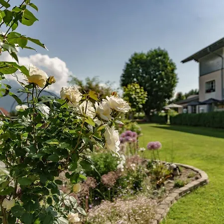 بيت ضيافة Cafe Kitzer